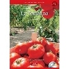 Culture Readers:Holidays: 1-4 La Tomatina ｽﾍﾟｲﾝのﾄﾏﾄ祭り