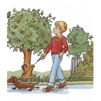 New Finding Out 4 Flash Cards