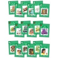 Jolly Phonics Readers Complete Set Green Level pack of 18 (UK)