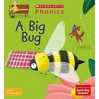 Phonics Book Bag Readers: A Big Bug (Set 3)