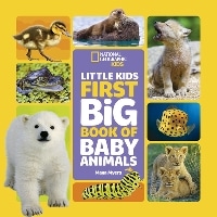 First Big Book of Baby Animals (Natl Geographic soc)