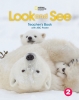 Look and See 2 Teacher's Book + Abc Poster