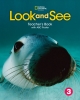 Look and See 3 Teacher's Book + Abc Poster