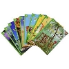Compass Readers  Level 4 Pack (10 Titles)