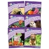 Jolly Phonics Readers Our World Nonfiction Purple Level (pack of 6) (UK)