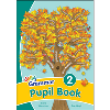 Grammar 2 Pupil Book (UK)
