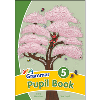Grammar 5 Pupil Book (UK)