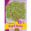 Grammar 6 Pupil Book (UK)