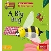 Phonics Book Bag Readers: A Big Bug (Set 3)