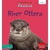 Phonics Book Bag Readers Non-fiction: River Otters (Set 6)