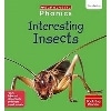 Phonics Book Bag Readers Non-fiction: Interesting Insects (Set 7)