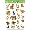 Animals (Wall Chart)