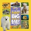 First Big Book of Baby Animals (Natl Geographic soc)