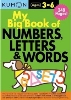 [BIND UPS]My Big Book of Numbers, Letters and Words(Early Learning Bind Ups)