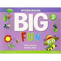 Big Fun Level 3 Workbook with Audio CD