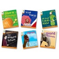 Oxford Reading Tree: Floppy's Phonics Non-Fiction Stage 6 Pack