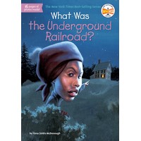 What Was the Underground Railroad? (YL2.5-3.5)(8,603 Words)
