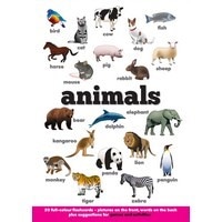 Flash Card Animals (A5) (NE)